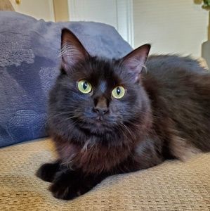 Meet your Posher, Leah